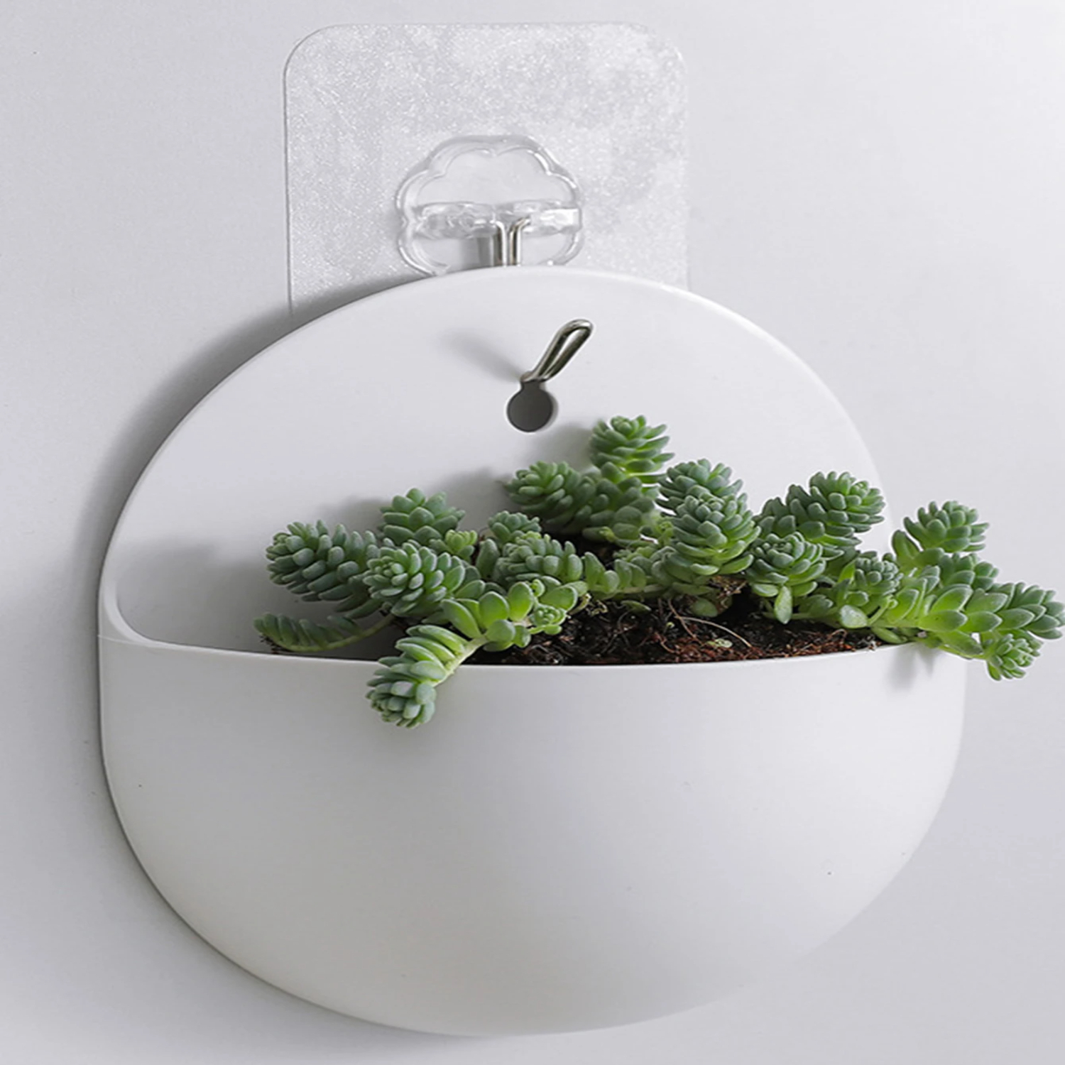 Bonsai Garden China - Wandbehang Bonsai Pflanzgefäße Balkon hängende Sukkulentenkörbe