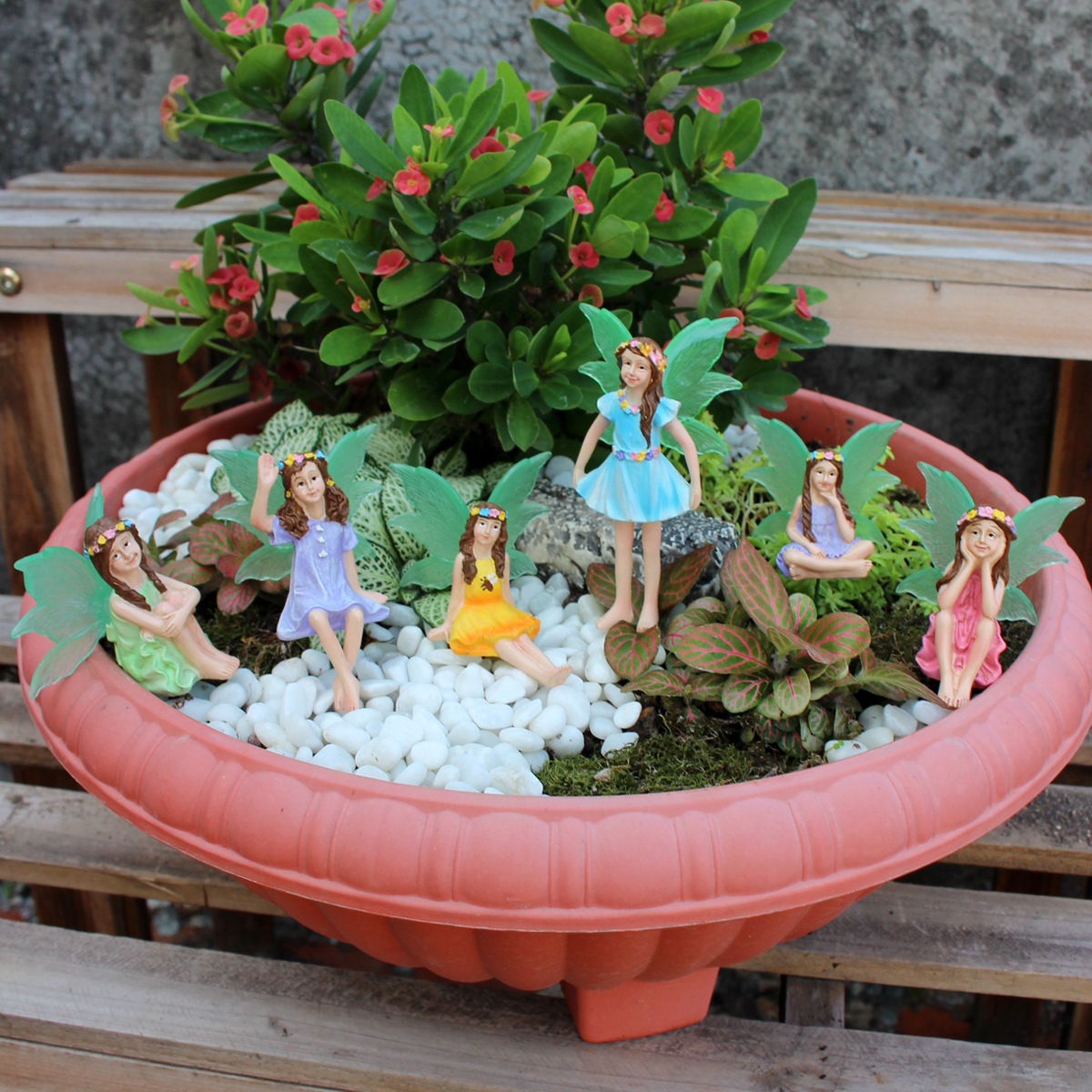 6 Stück Nachtlicht Flügel Blum – Bonsai Garden World Bewertung und Preis