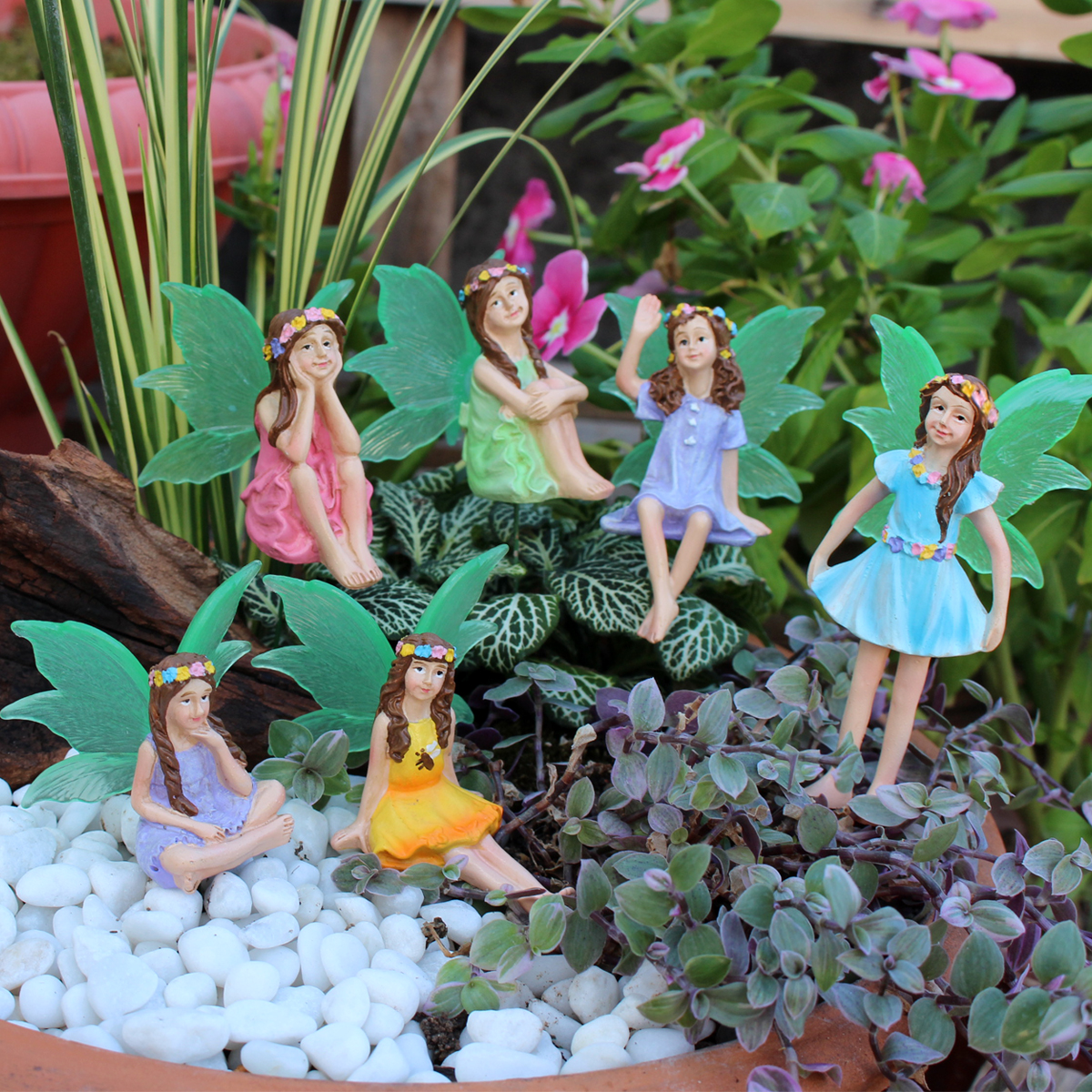 6 Stück Nachtlicht Flügel Blum – Bonsai Garden World Bewertung und Preis