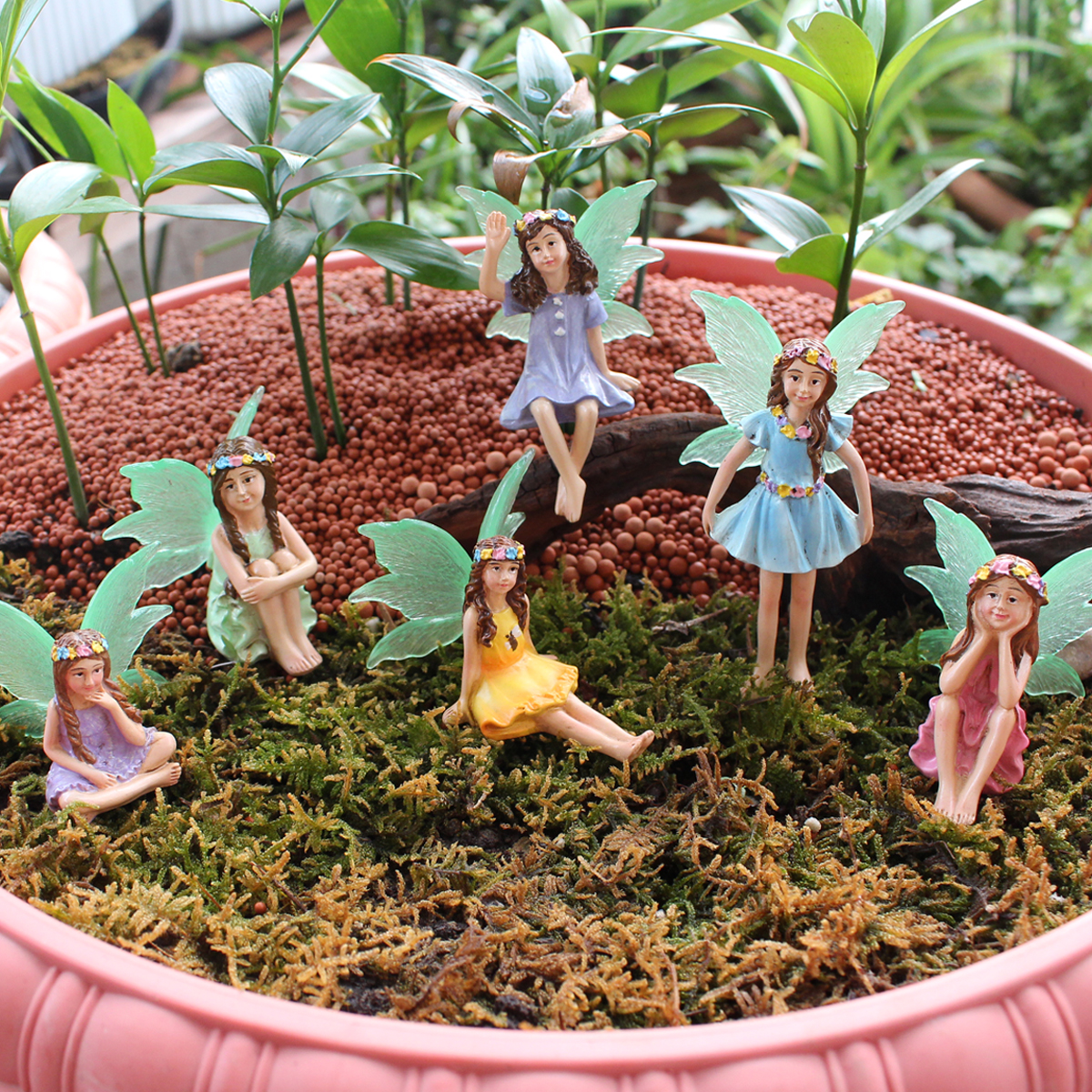 6 Stück Nachtlicht Flügel Blum – Bonsai Garden World Bewertung und Preis
