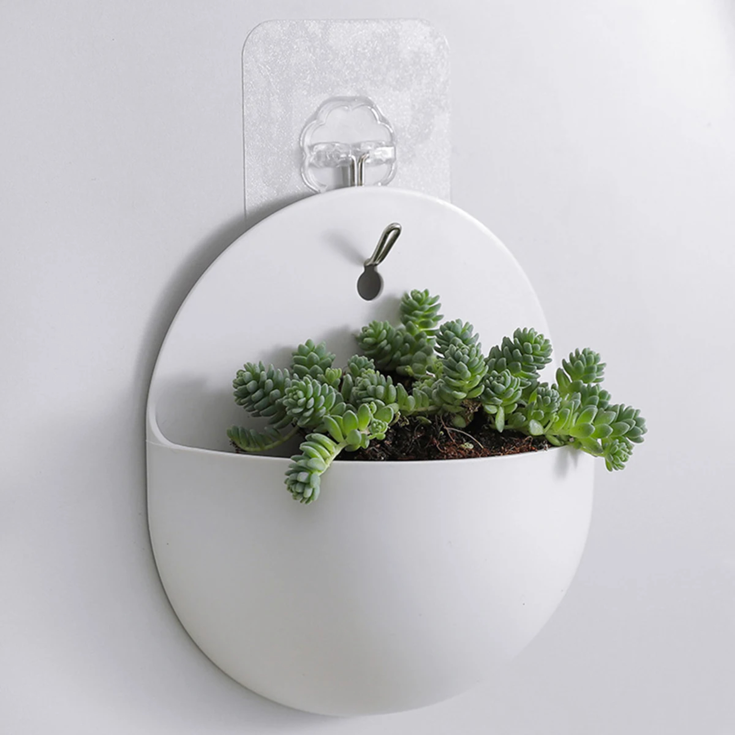 Wandbehang Bonsai Pflanzgefäße – Bonsai Garden China Bewertung und Preis