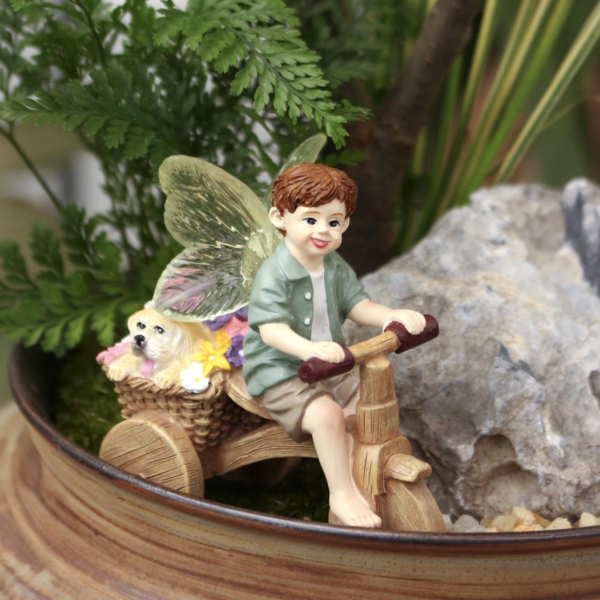 1 Stück Transparente Geflügelt – Bonsai Garden World Bewertung und Preis