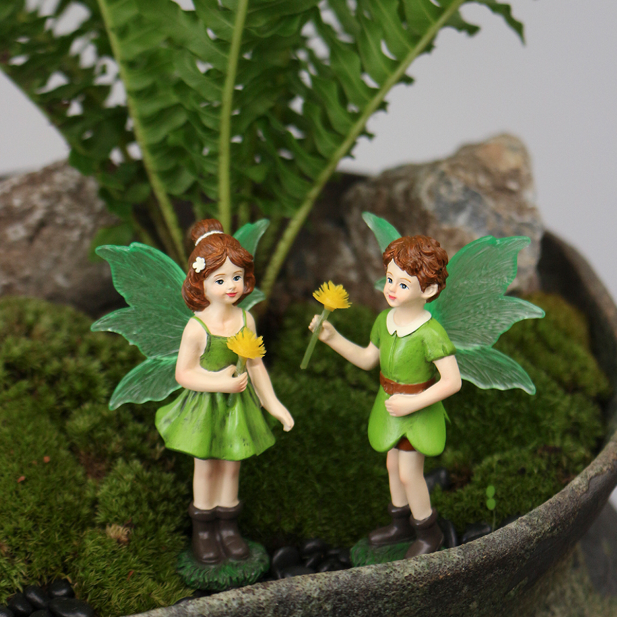 2 Stück frühlingsgrüne, fluore – Bonsai Garden World Bewertung und Preis