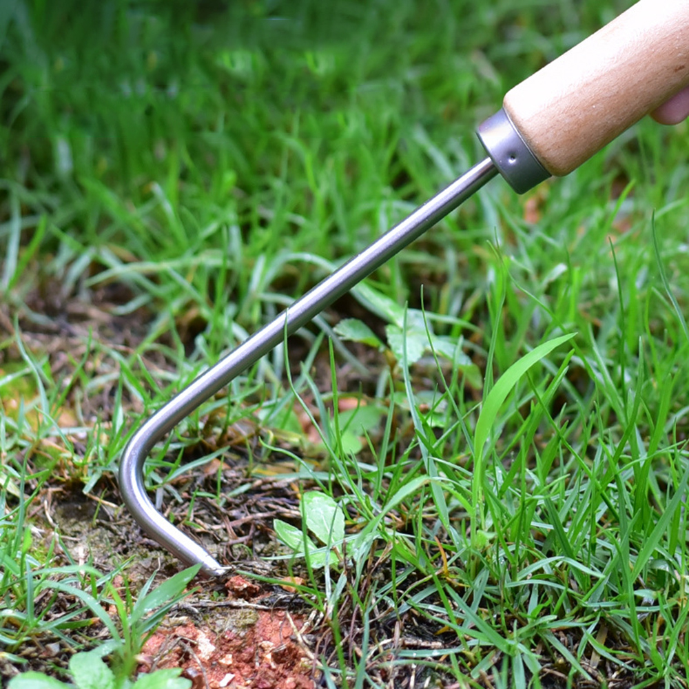1PC Einzigen Klaue Haken Boden – Root Hook Tool Bewertung und Preis