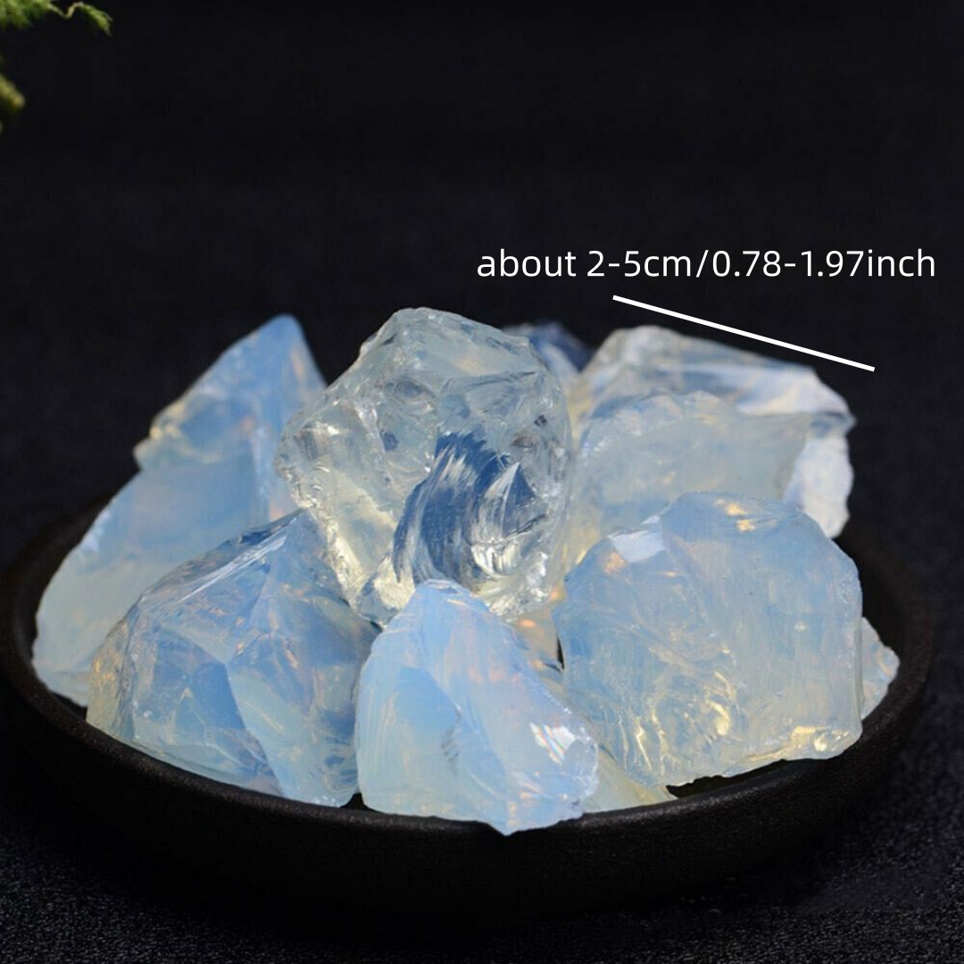 40 g/120 g/240 g natürlicher O – Bonsai Garden China Bewertung und Preis