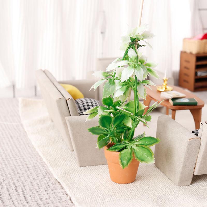 1/12 Puppenhaus Simulation Grü – Bonsai Garden Usa Bewertung und Preis