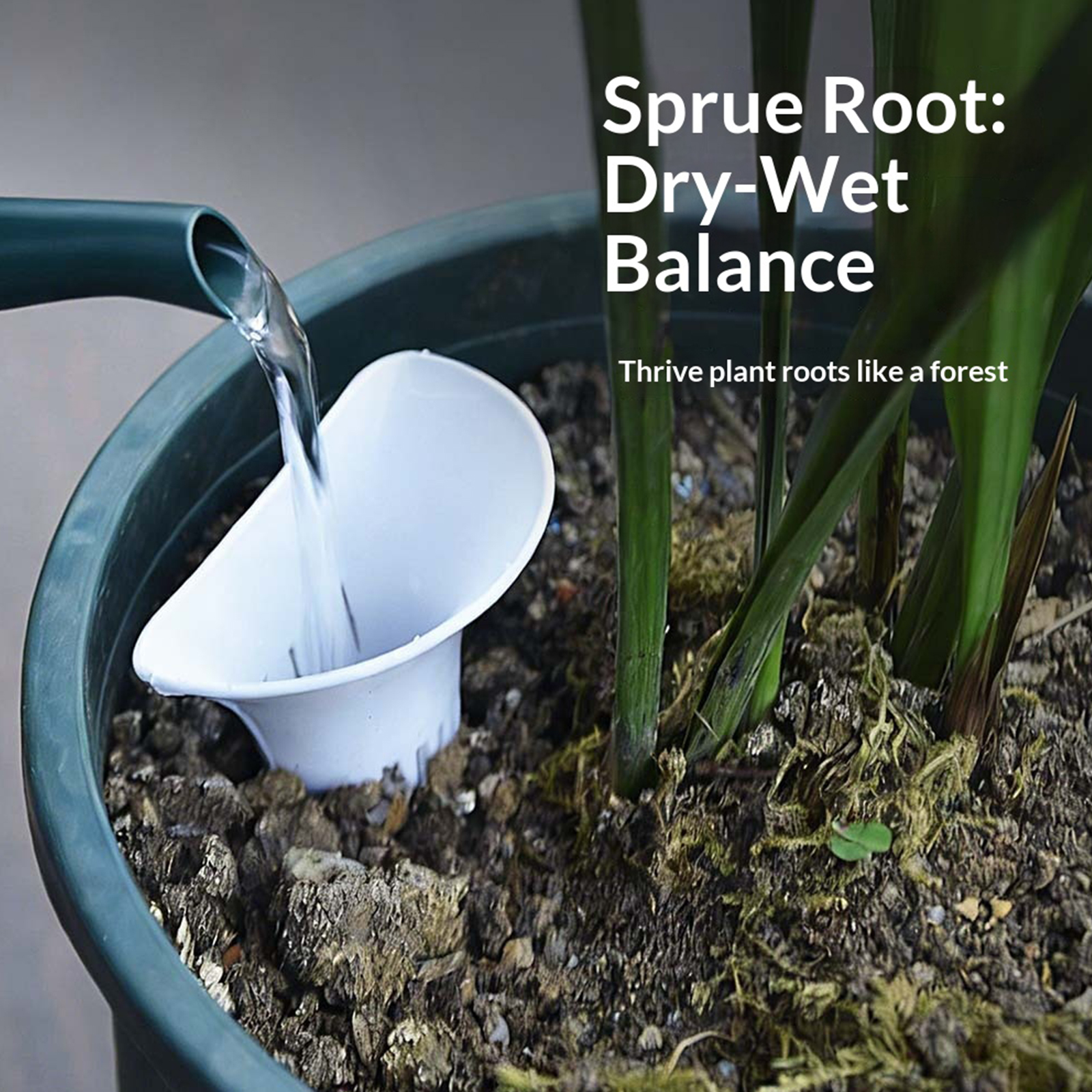 Mehrlochige Wasserpflöcke zur  – Bonsai Garden Usa Bewertung und Preis