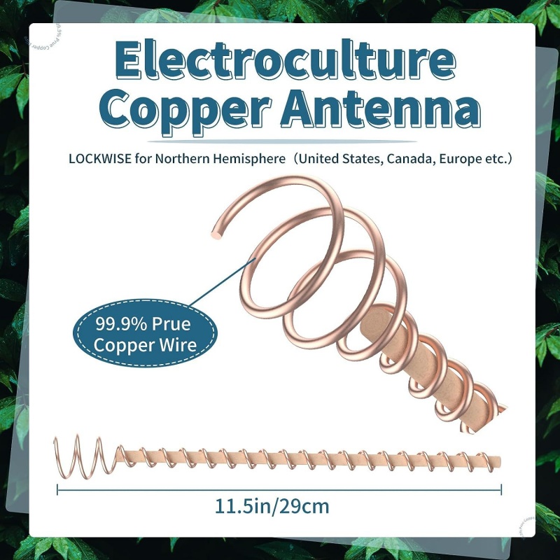 Bonsai Kupfer-Elektrokultur-Pf – Copper Wire Roll Bewertung und Preis