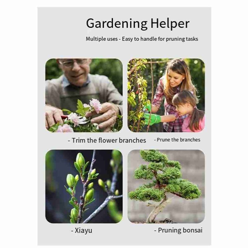 ABAE-Bonsai-Baumwerkzeuge, 4-t – Root Hook Tool Bewertung und Preis