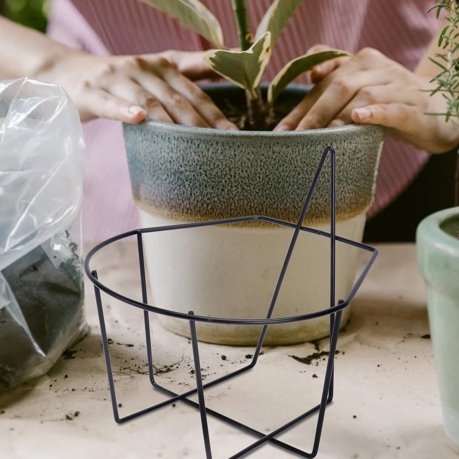 1 Stück Eisen-Wandpflanzenhalt – Bonsai Garden Usa Bewertung und Preis
