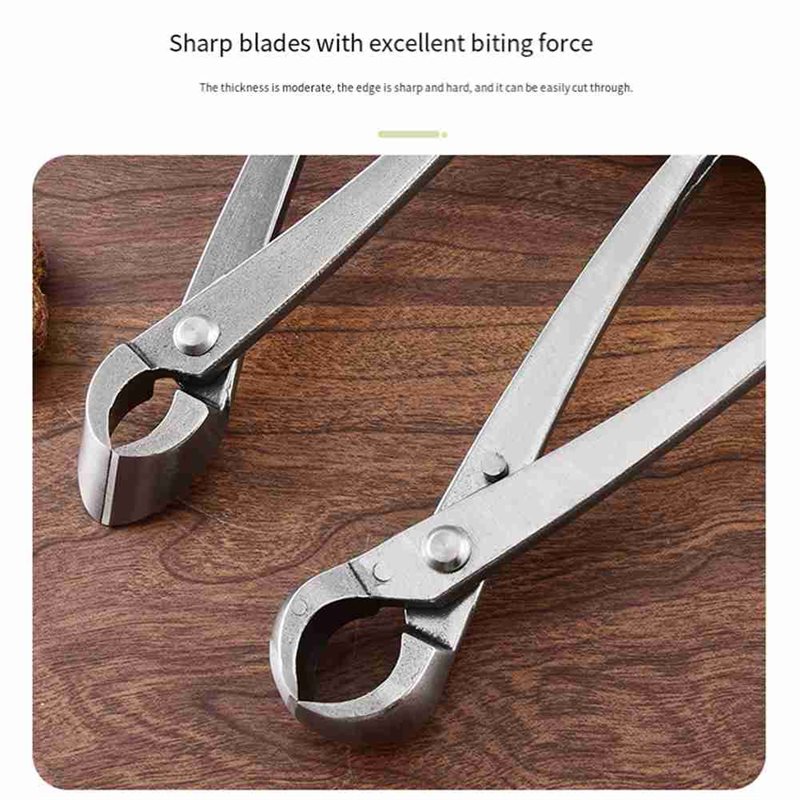 SHGO-Bonsai-Baumwerkzeug-Set ( – Root Hook Tool Bewertung und Preis