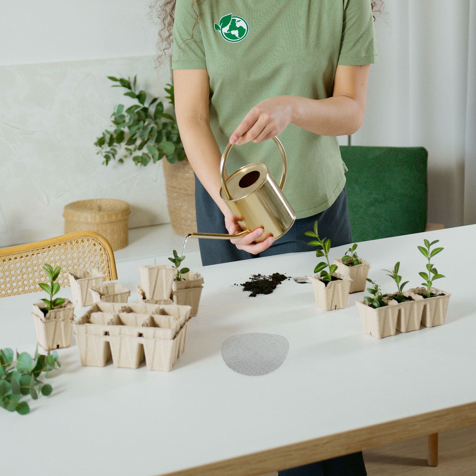 50 Stück Blumentopf-Drainagelö – Bonsai Garden Usa Bewertung und Preis