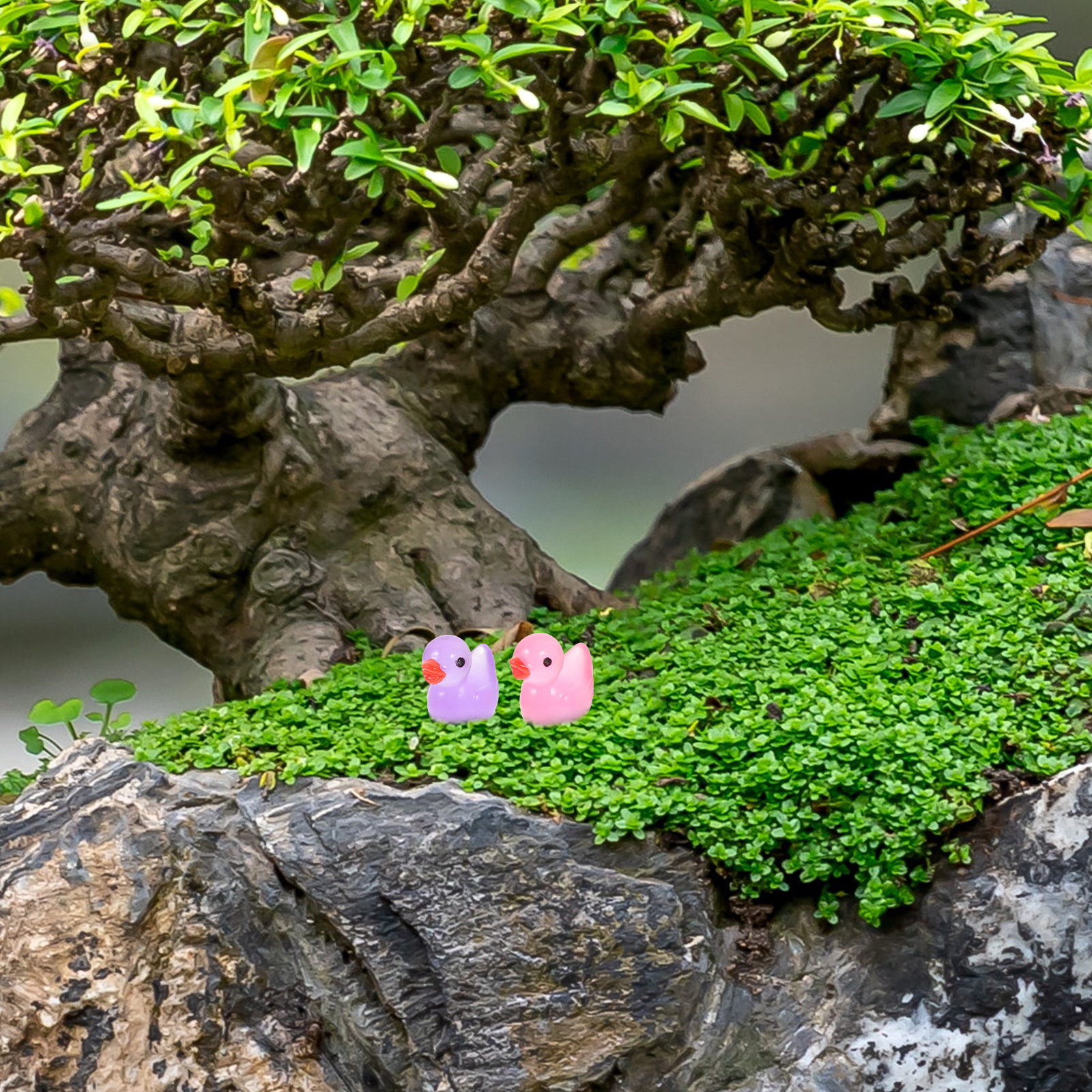60 Stück Nachtleuchtende Mini- – Bonsai Garden World Bewertung und Preis