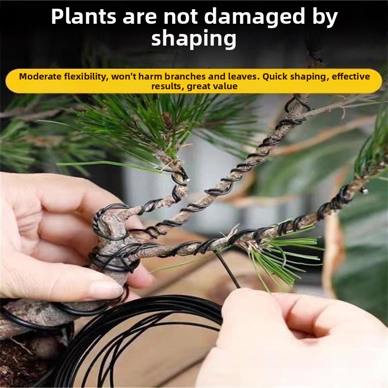 1,5-mm-Bonsaidrähte, Aluminium – Bonsai Garden Usa Bewertung und Preis