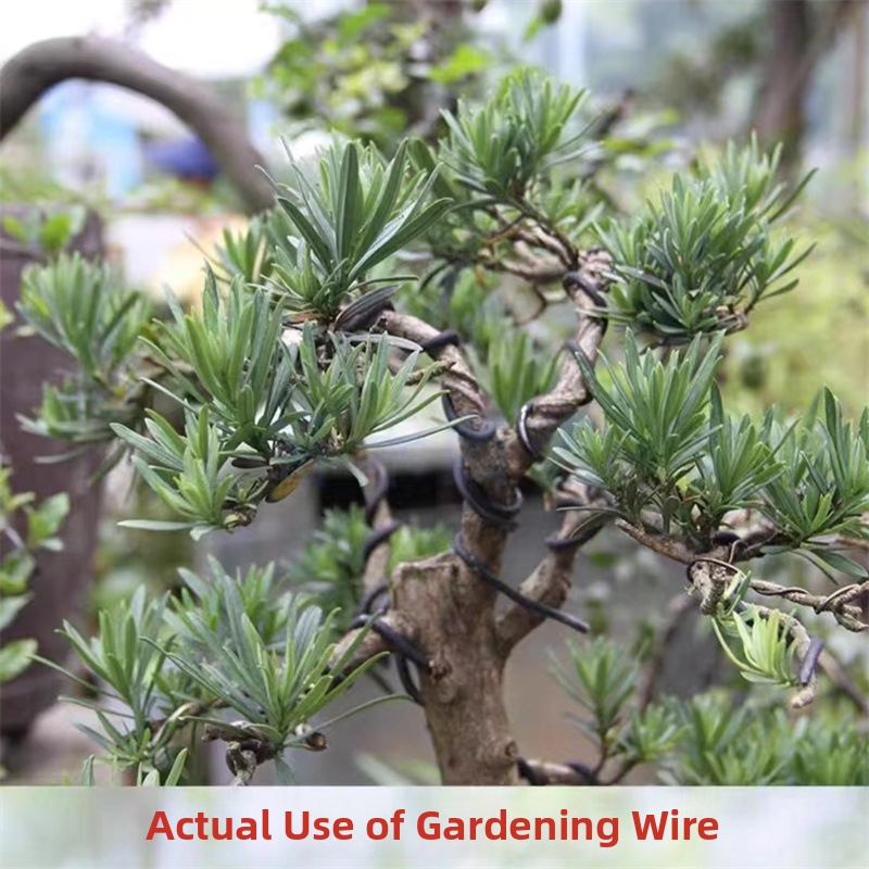 1,5-mm-Bonsaidrähte, Aluminium – Bonsai Garden Usa Bewertung und Preis