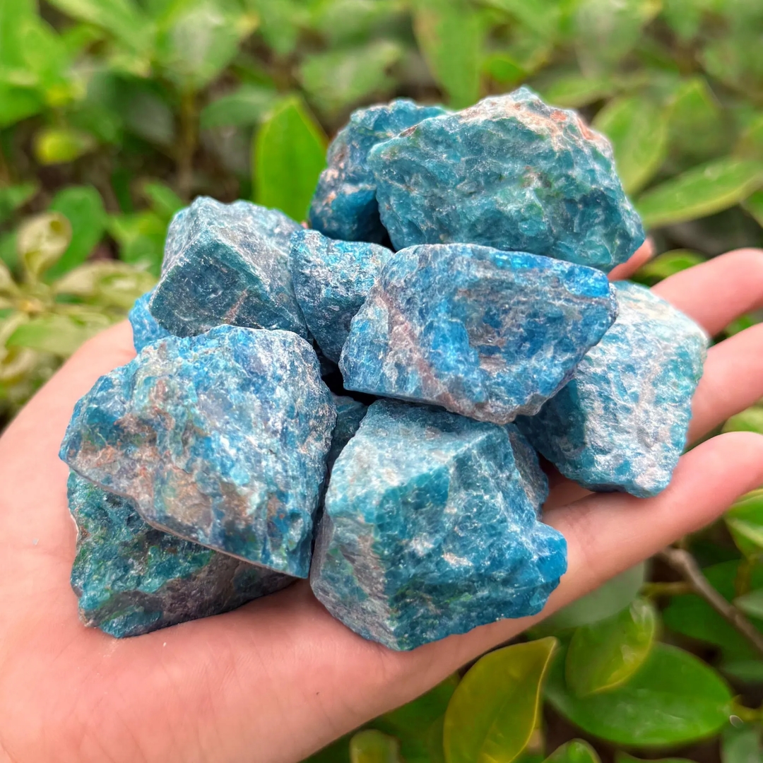 40 g/120 g/240 g natürlicher b – Bonsai Garden China Bewertung und Preis