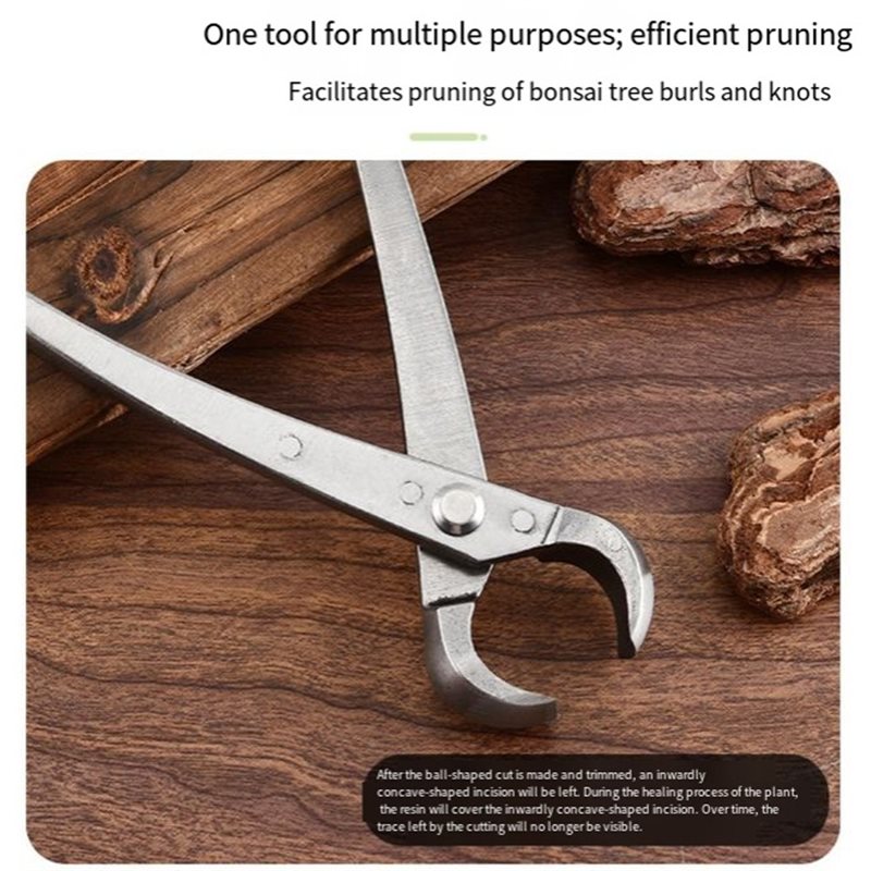 ABGH-Bonsai-Baumwerkzeuge, 4-t – Root Hook Tool Bewertung und Preis