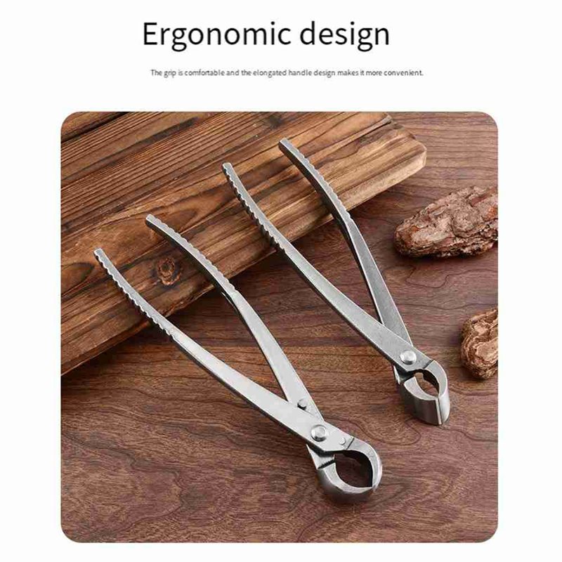 ALIM-Bonsai-Baumwerkzeuge, 4-t – Root Hook Tool Bewertung und Preis