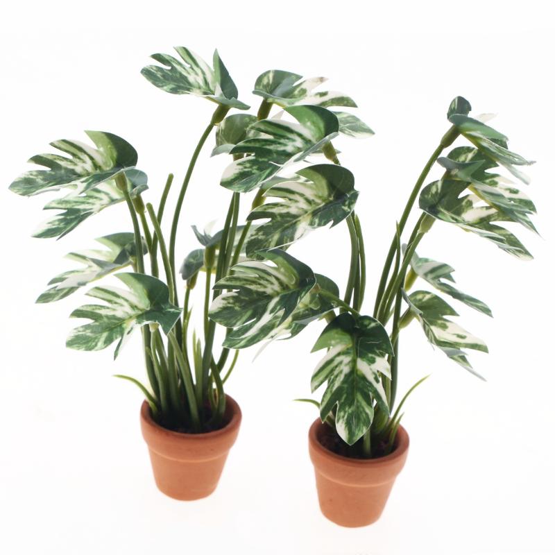 Neu. 1 Stück 1/12 Puppenhaus-S – Bonsai Garden Usa Bewertung und Preis