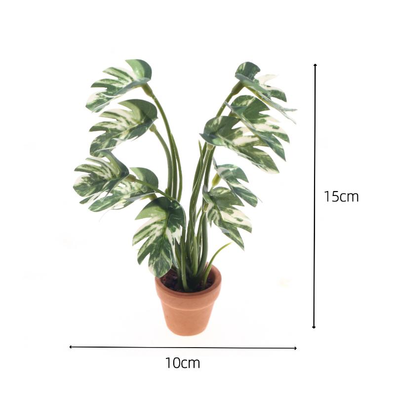 Neu. 1 Stück 1/12 Puppenhaus-S – Bonsai Garden Usa Bewertung und Preis
