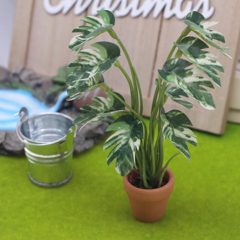 Neu. 1 Stück 1/12 Puppenhaus-S – Bonsai Garden Usa Bewertung und Preis