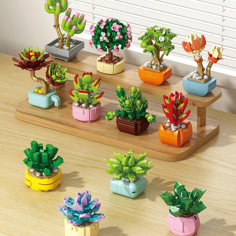 Blumen Sukkulenten Bausteine E – Bonsai Garden World Bewertung und Preis